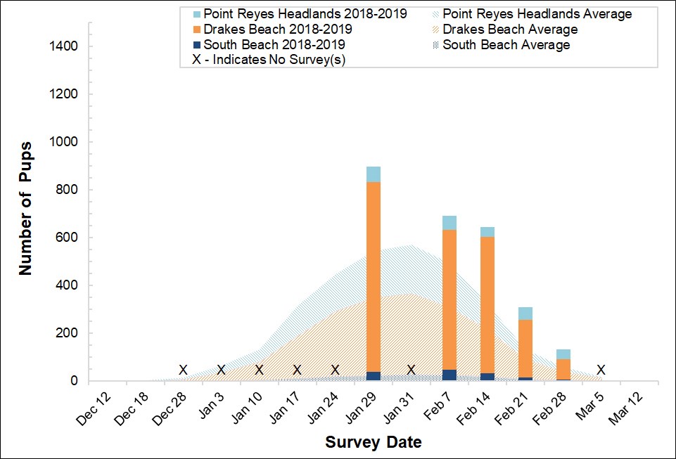 Stacked bar graph of the number of elephant seal pups counted at three colonies in Point Reyes in 2017-2018 by survey date, overlayed on a stacked area graph showing the average number of pups counted at the colonies between 2005 and 2017.