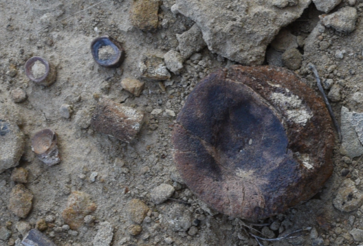 small fossil bone