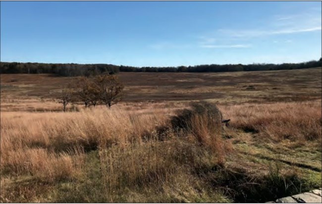 Image of Big Meadows at sunset