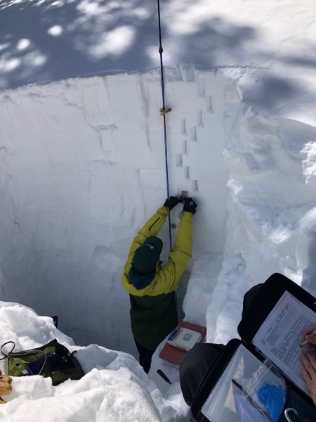 A researcher stands in a snow pit to collect samples