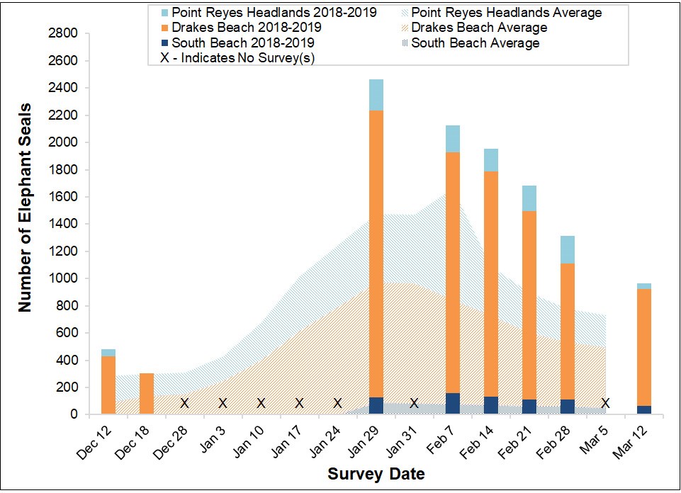 Stacked bar graph of the total number of elephant seals surveyed at three locations in Point Reyes National Seashore by survey date, overlayed on a stacked area graph showing the average number of seals surveyed at the same sites between 2005 and 2017.