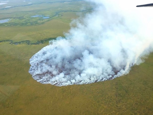 A fire burning in the Arctic tundra, Noatak National Preserve.