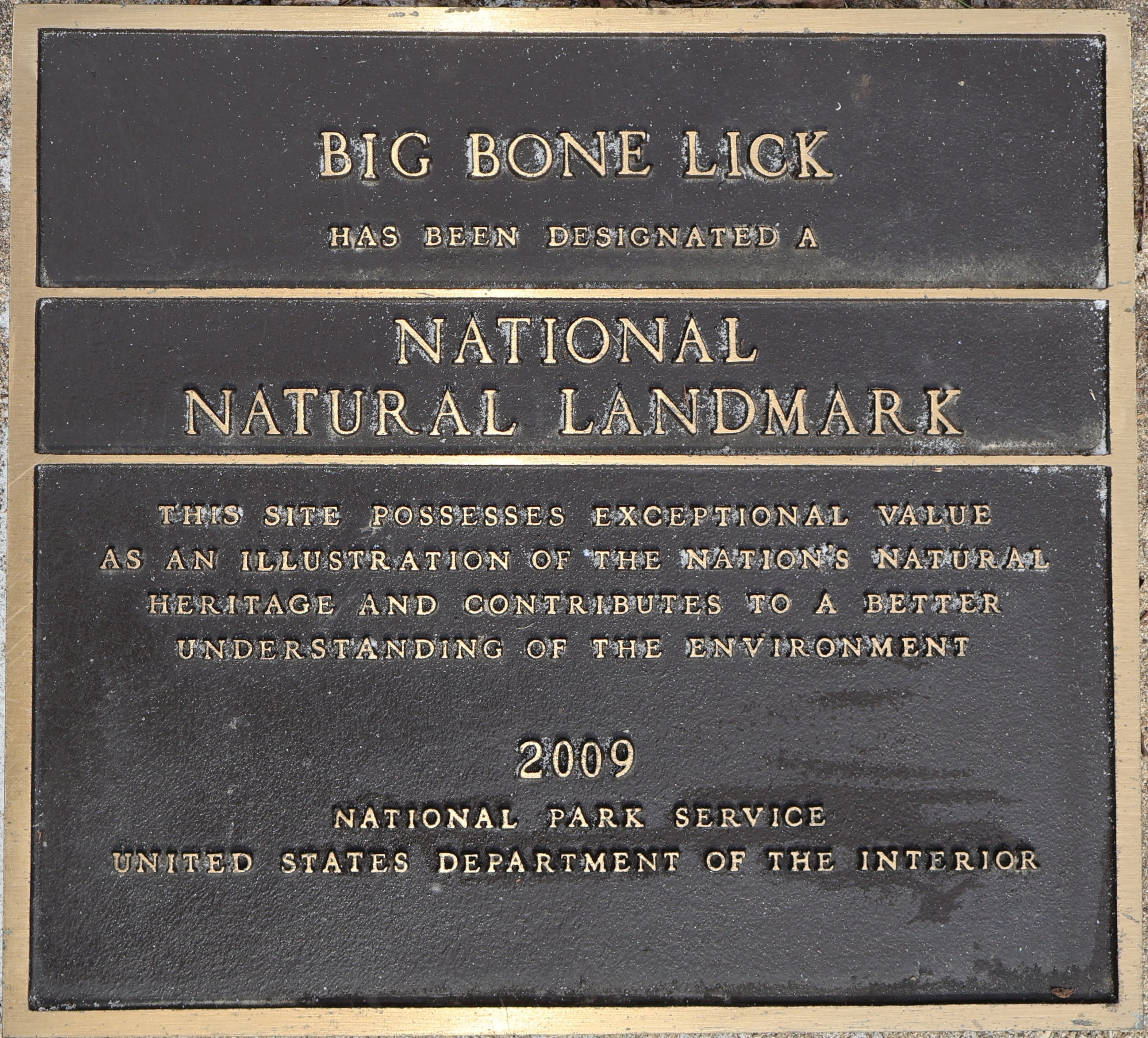 A plaque that reads “Big Bone Lick has been designated a National Natural Landmark. This site possesses exceptional value as an illustration of the nation’s natural heritage and contributes to a better understanding of the environment. 2009. NPS, US DOI.