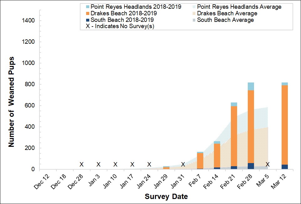 Stacked bar graph of the number of weaned elephant seals counted at three colonies in Point Reyes in 2018-2019 by survey date, overlayed on a stacked area graph showing the average number of weaned seals counted at the colonies between 2005 and 2017.