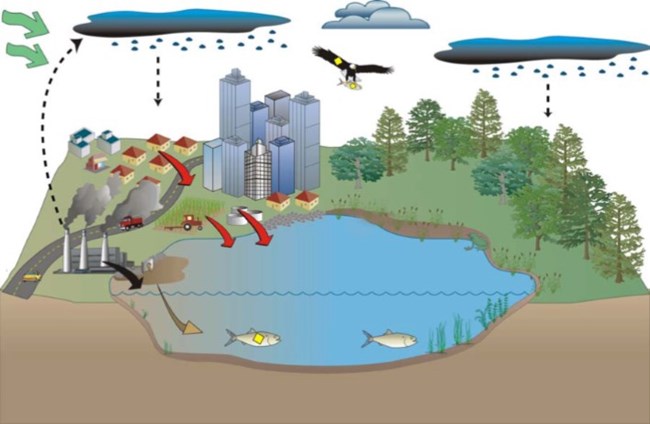 Conceptual diagram illustrating how various factors can contribute to water contamination