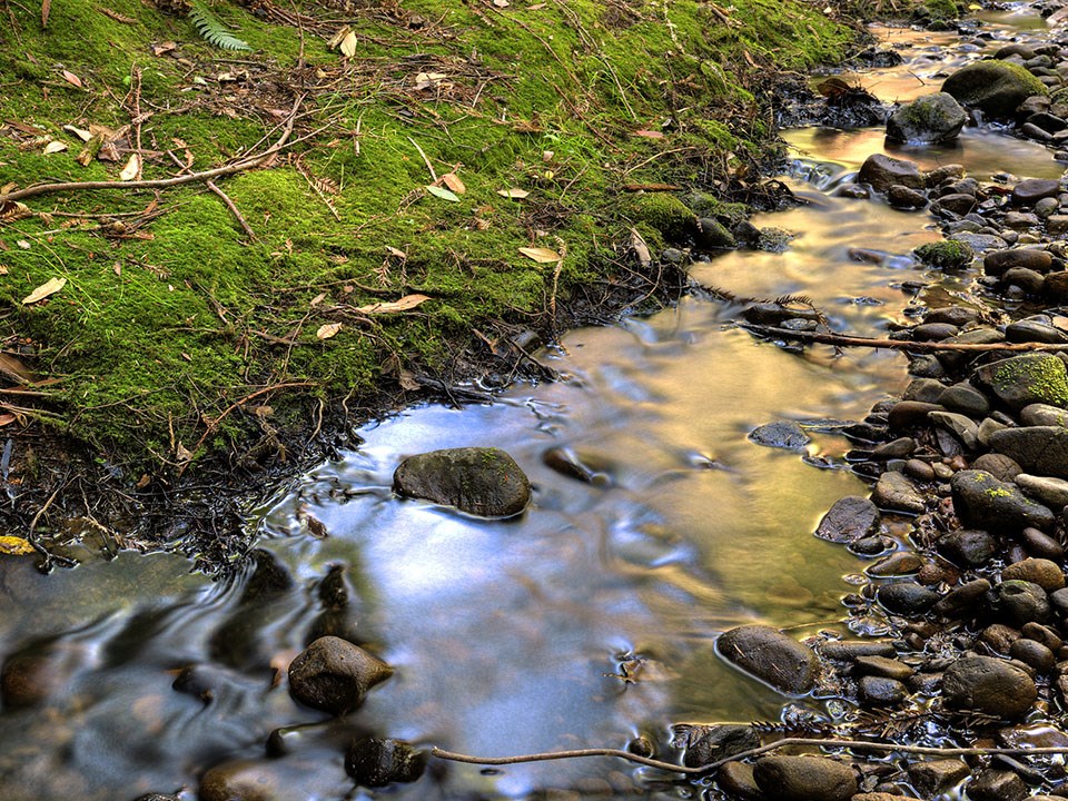 Image of typical monitoring site, a rocky creek with flowing water.