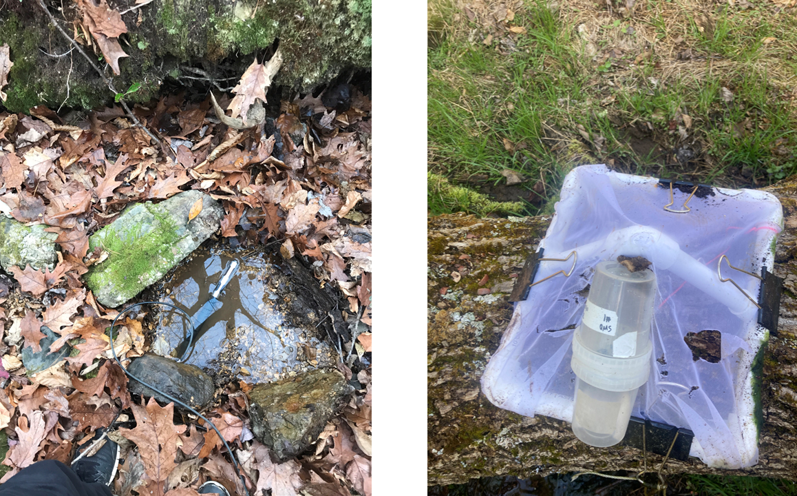 A small spring with a probe submerged in the water (left). An emergence trap that consists of a square white net connected to a container filled with liquid (right).