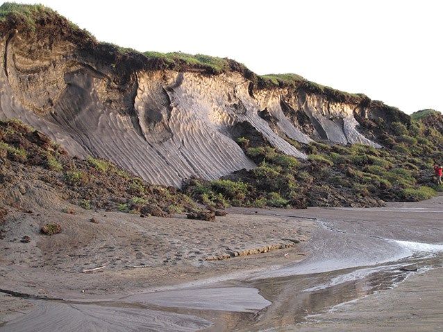eroded coastal bank illustrating exposed yedoma permafrost