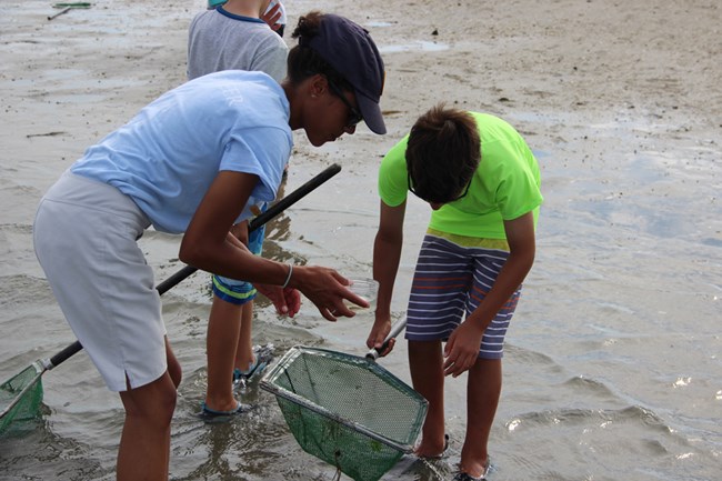 NPS intern and visitor exploring organisms caught in dip net on Marine Explorers program