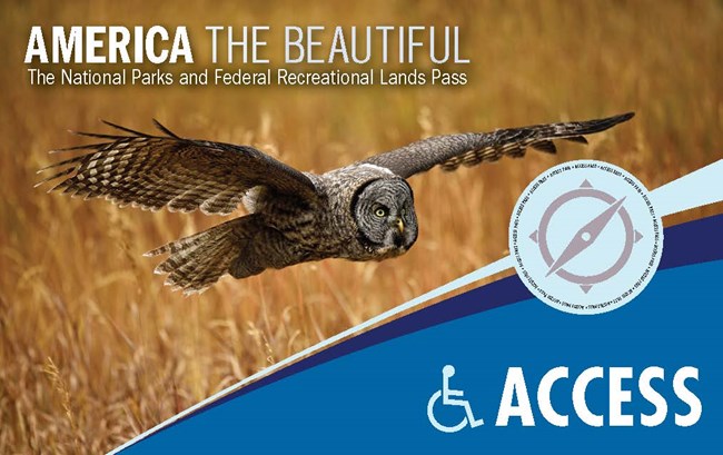 picture of an owl flying over a grain field on the 2018 America the Beautiful Access Pass