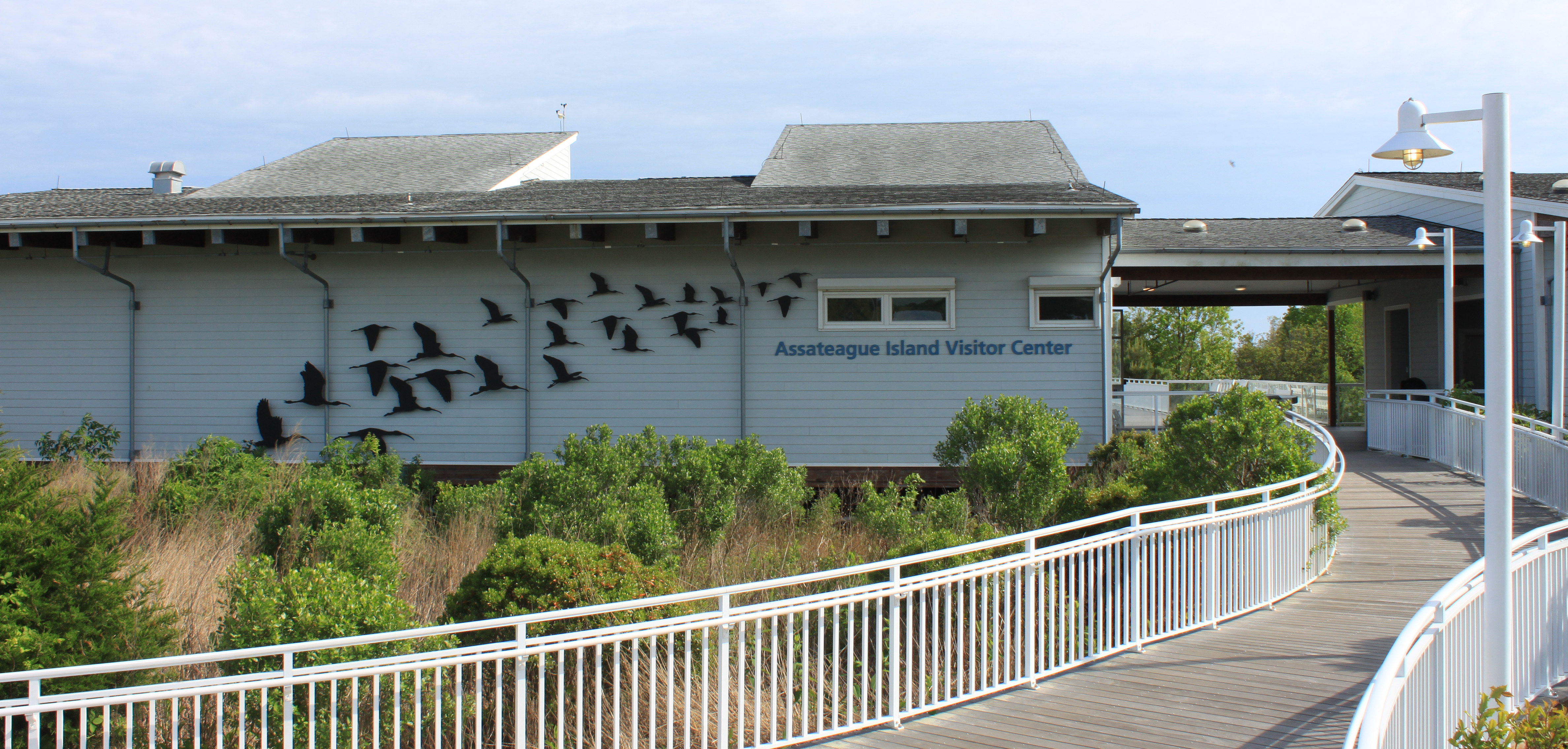 A light blue building surrounded with grass and brush.