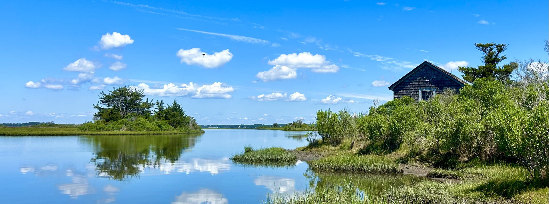 Green grasses and shrubs on small islands surrounded by water. The top of an old building is visible above shrubs.