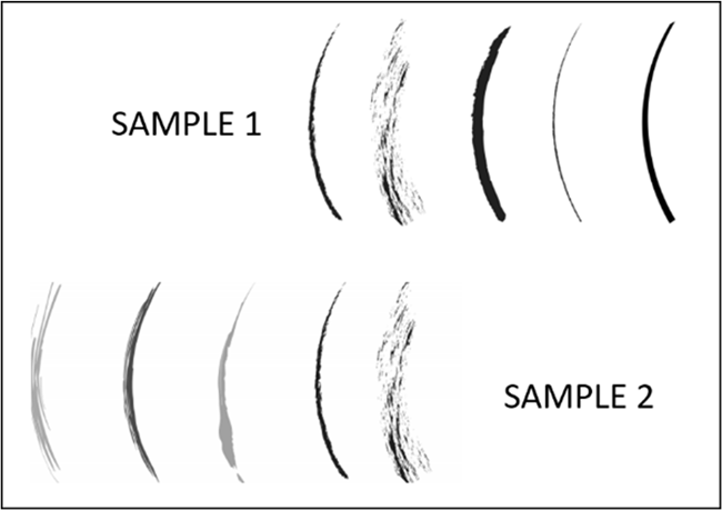 An illustration showing 2 samples of cross dating of tree rings.