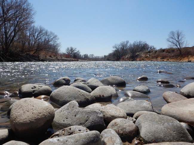 A low camera angle showing cobblestones in the foreground and the flowing Animas River in the background.