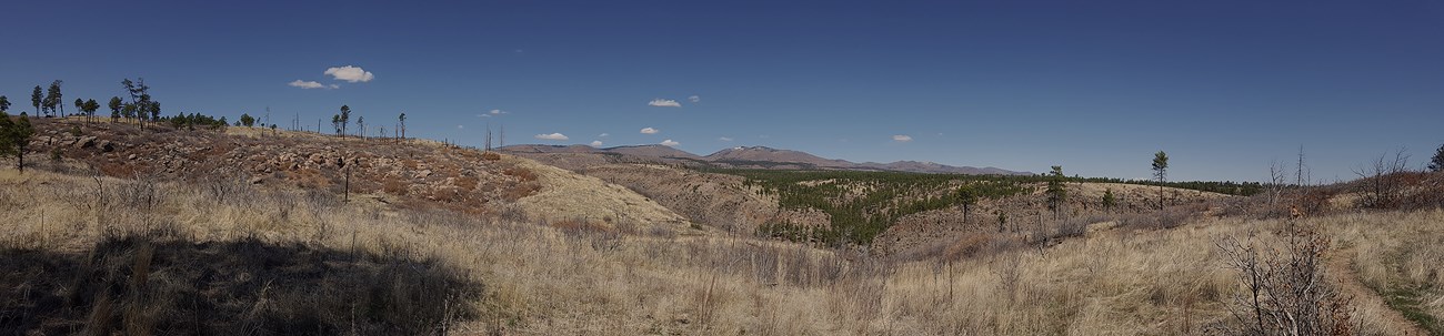 rim trail panorama