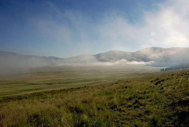 an image of a green valley with small rounded peaks and fog