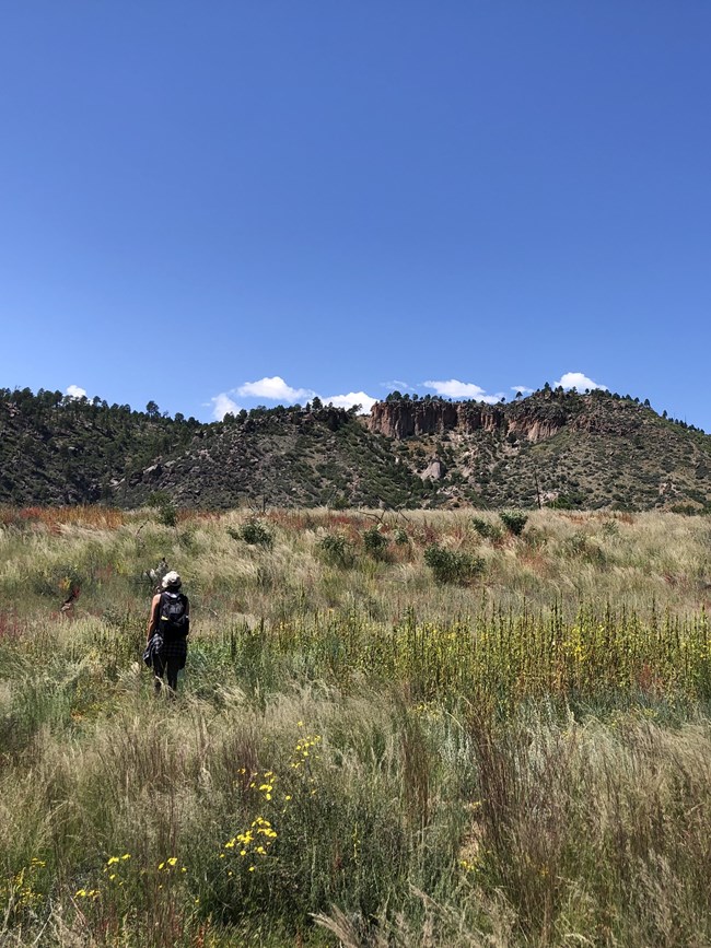 A hiker looks at a rocky outcrop. The sky is blue.