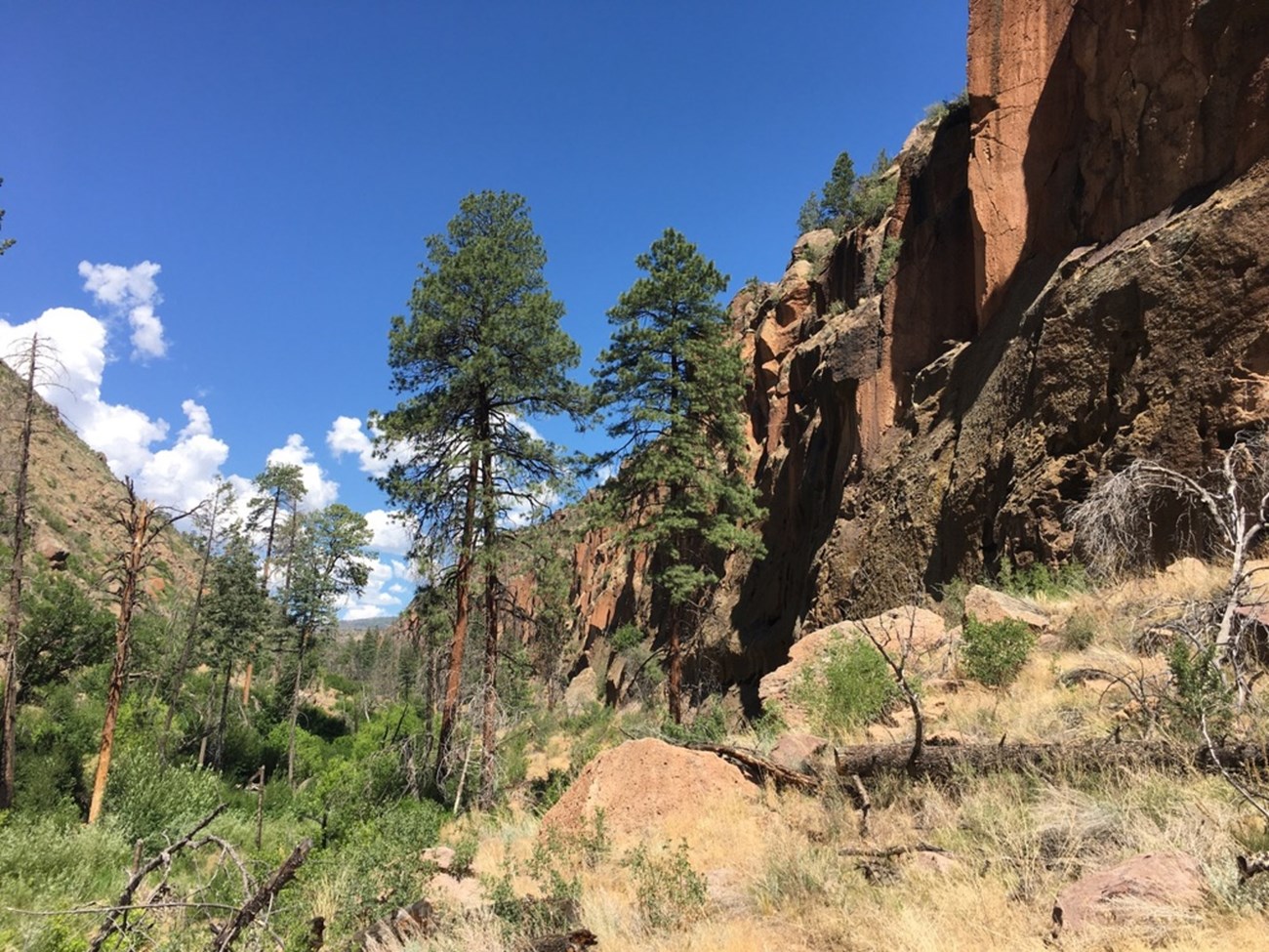 A view of a rocky canyon with green trees, green bushes, and a blue sky.