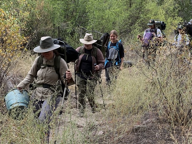 a line of people carry out debris from wilderness