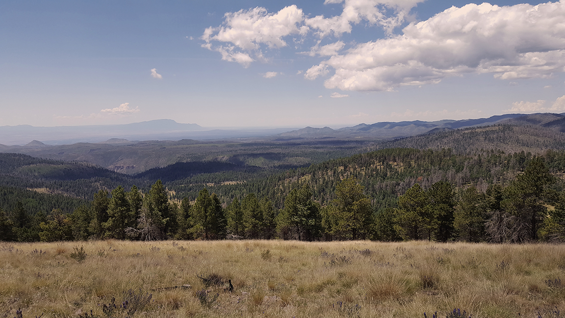 view into upper frijoles from cerro grande