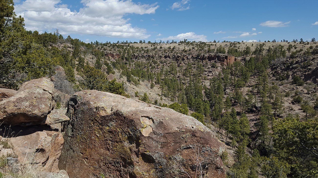 A view of a canyon with big rocks, green trees, and a blue sky with white clouds.