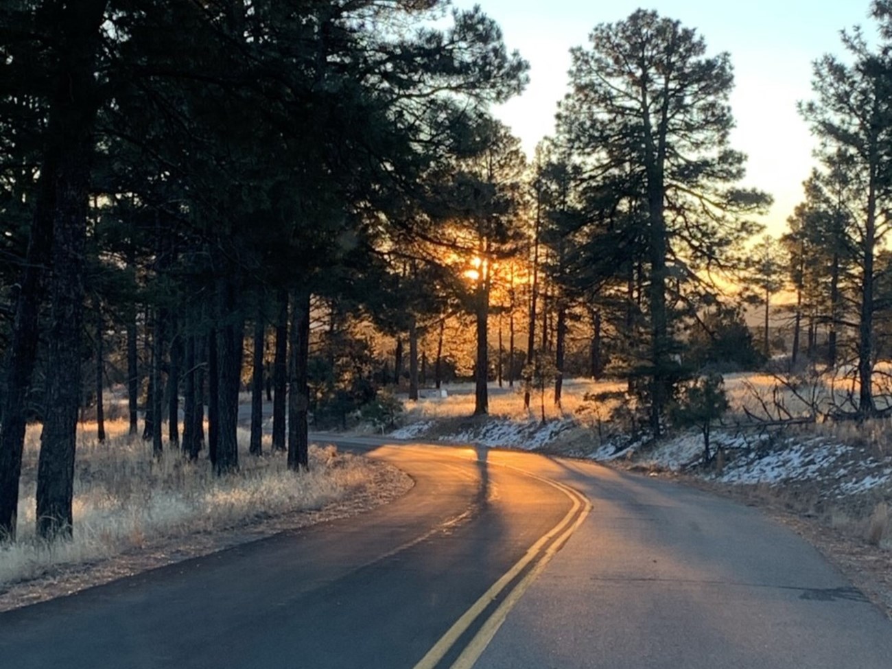 A picture of a road with trees and the sun in the background.