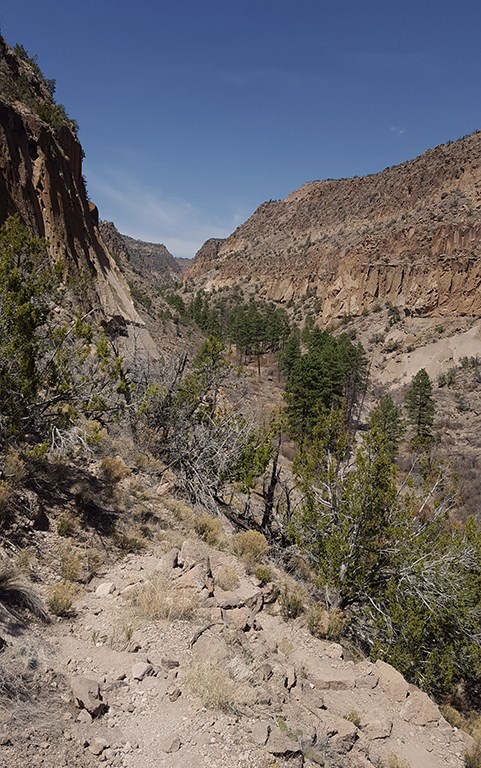 mid alamo canyon trail