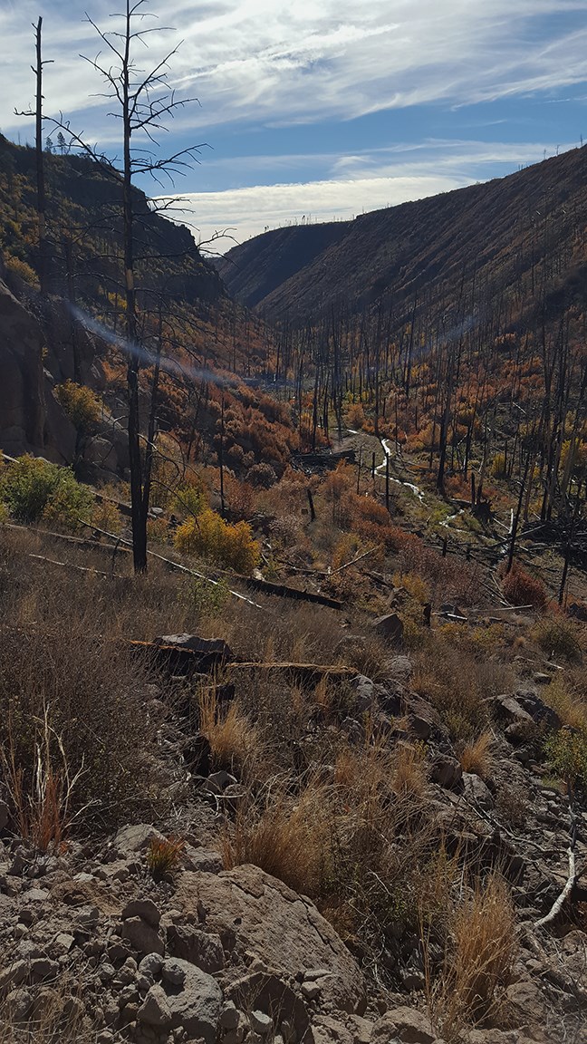 Escape To Ponderosa: Your Bandelier National Monument Adventure Awaits!