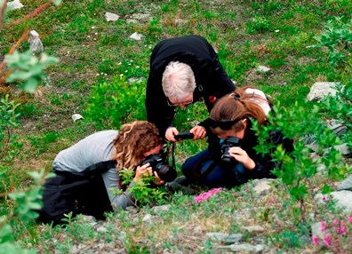 Three women crouch in the green grass all taking pictures of the same patch of pink flowers