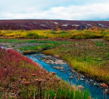 Arctic Hot Springs