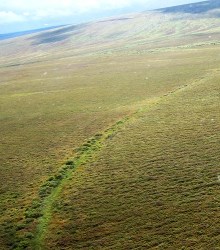 Fairhaven Ditch Eileen