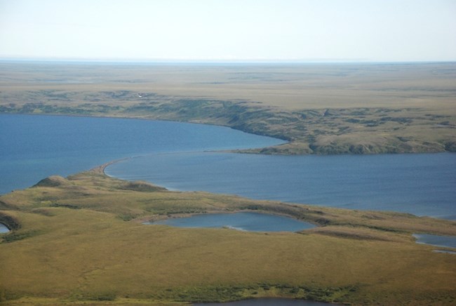 Devil Mountain Maar Lake. Two pools of deep blue water, separated by a thin strip of land, stretch across a flat green tundra landscape.