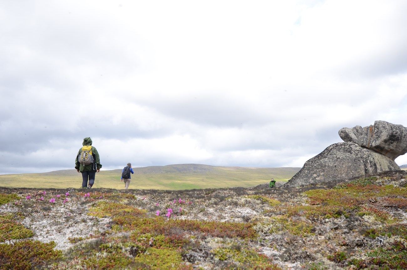 People hiking on a vast tundra landscape.