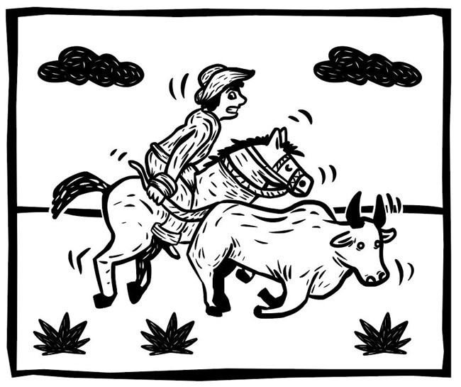 Pencil drawing of vaquero riding horse herding cow