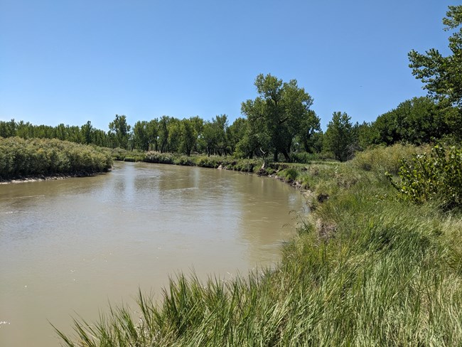 View of Arkansas River and green bank vegetation