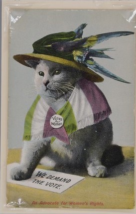A postcard with an illustration of a cat wearing a large feathered hat and purple, white, and green shawl with pin that says "Votes for Women" and with paw on a paper that says "We demand the vote"