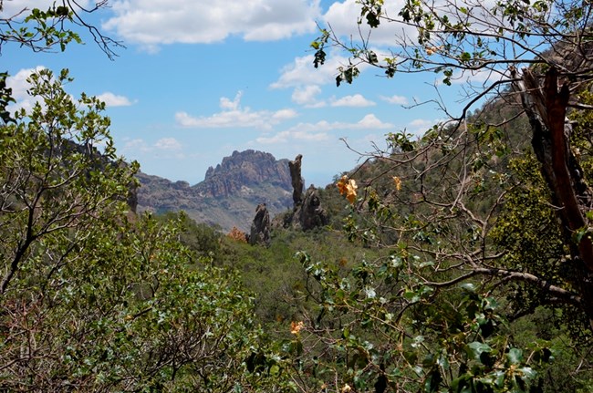 Boot Canyon in the Chisos Mountains