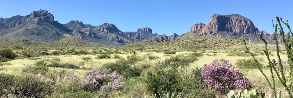 The beauty of Big Bend