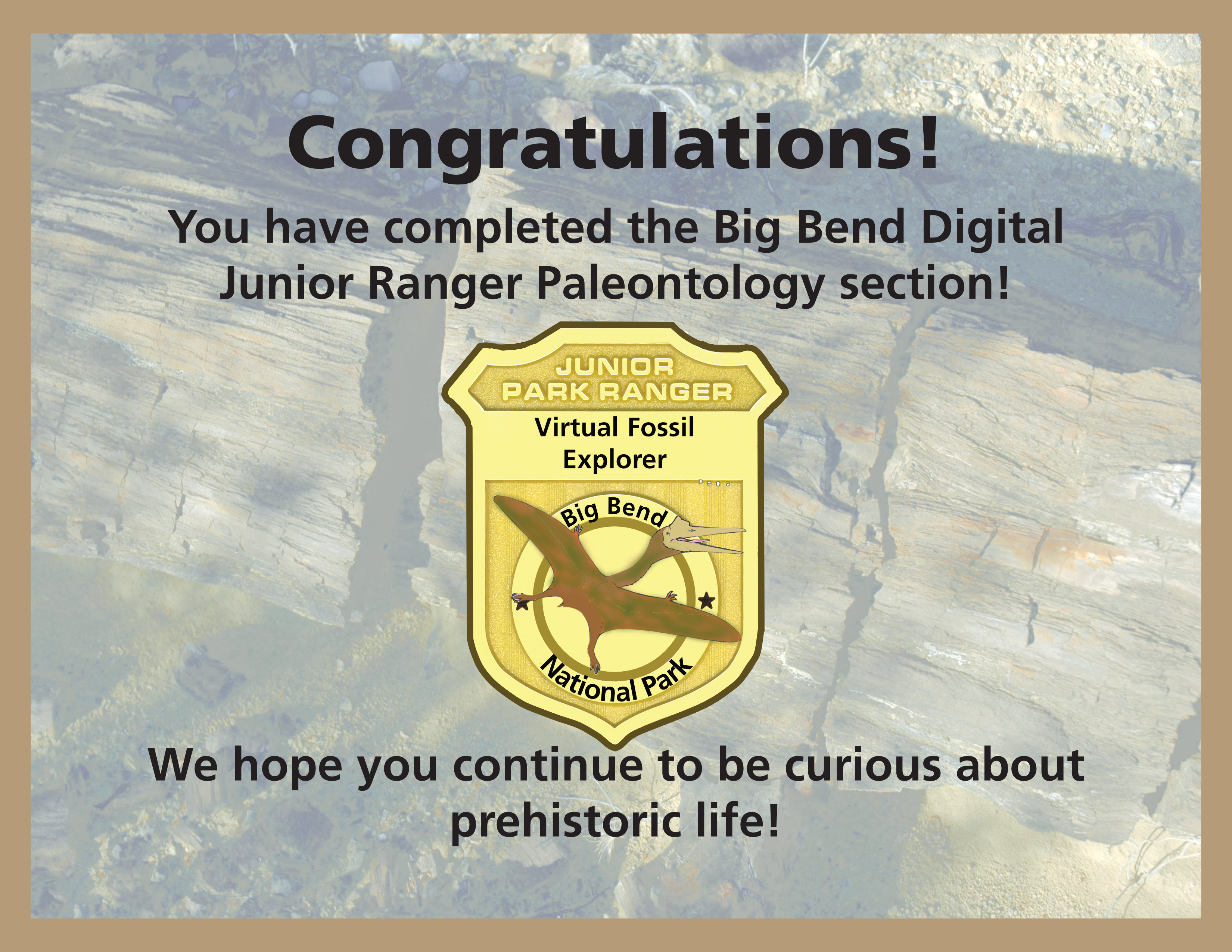 A certificate of completion with a junior ranger badge in the middle. The background shows a picture of a petrified wood, and the badge has a drawing of a flying dinosaur in the center.