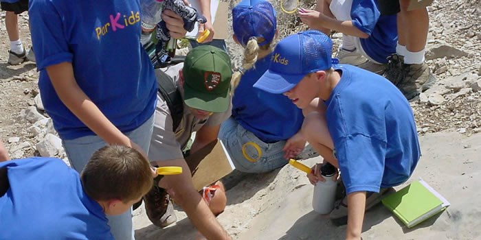 Kids Involved in a Fossil Activity