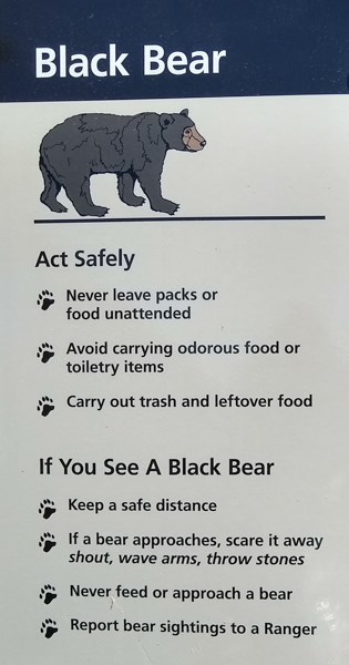 A sign with a black bear at the top and a list of what to do if you see a bear