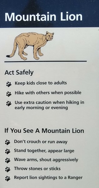A sign with a mountain lion at the top and safety rules below.