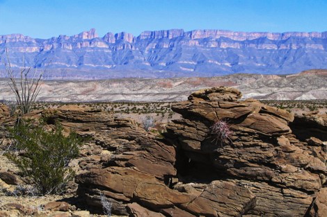 High limestone cliffs rise above the desert floor, where a fishhook cactus clings to a weathered boulder.