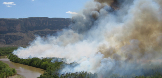 Prescribed burn along the Rio Grande to reduce the occurance of tamerisk and restore the floodplain environment.