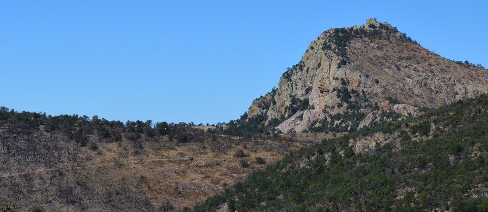 Emory Peak summit