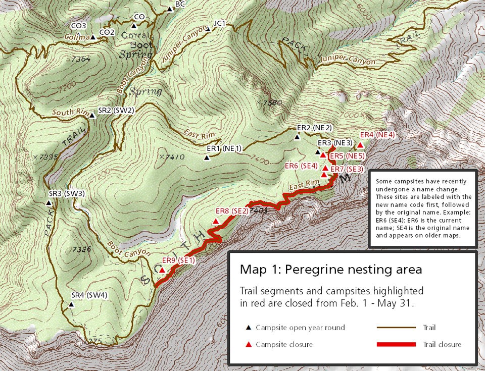 Peregrine falcon closure map
