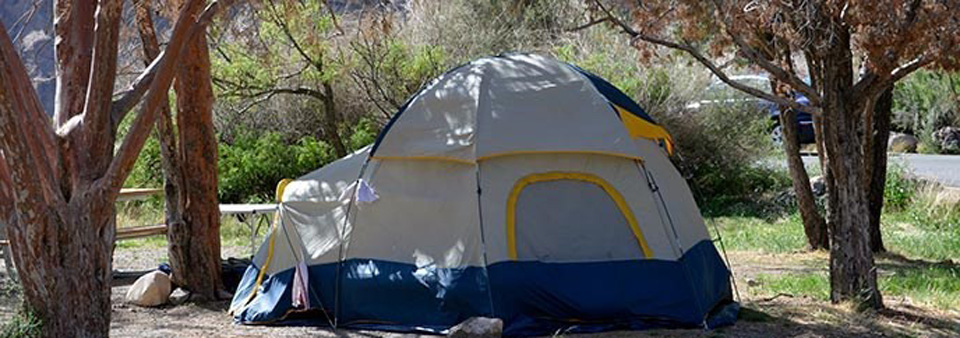 Big Bend NP proposes expanding reservation opportunities for developed campgrounds and backcountry campsites.