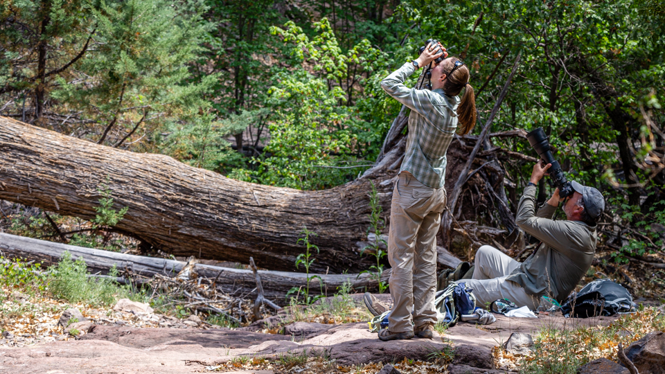 2 people look for birds in a canyon