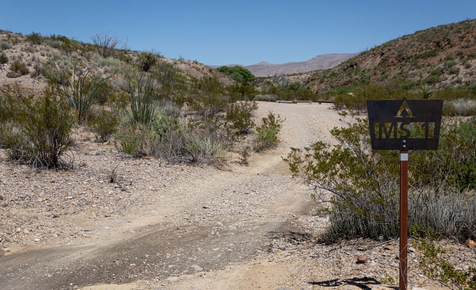Primitive Roadside Campsite— McKinney Spring Big Bend National Park