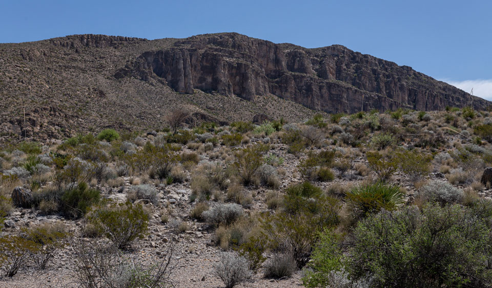 View from Telephone Canyon campsites.
